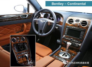 汽车内饰点睛之笔 探索真木装饰工艺的精致艺术